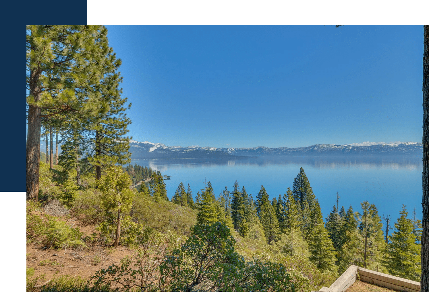 A view of trees and water from the side of a hill.